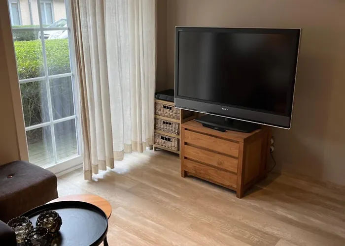 Duinenzicht Ii-vosseslag Appartement